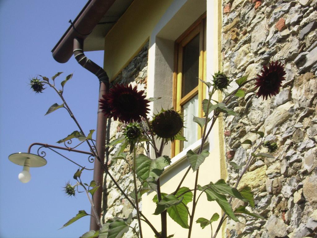 Il Girasole Bed & Breakfast Fosdinovo Exterior photo